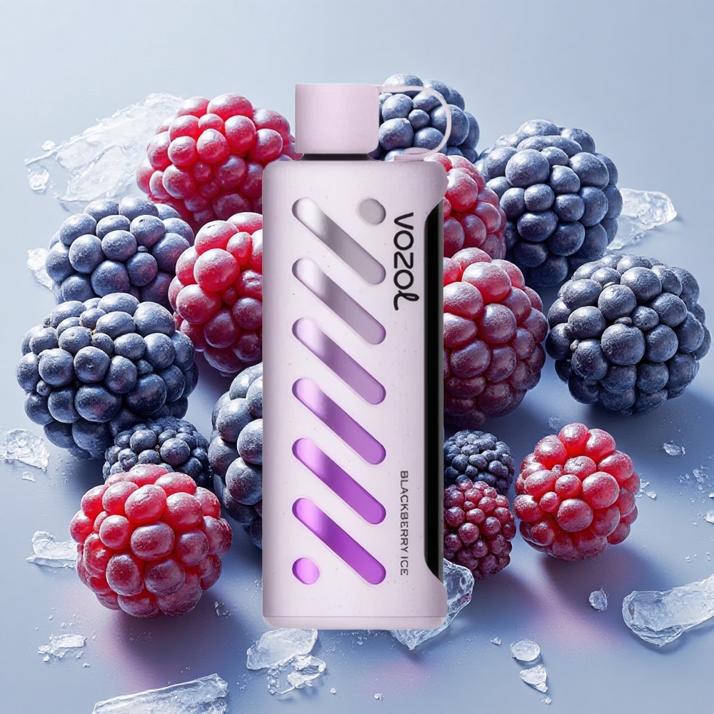 VOZOL Gear Shisha 25000 Puffs ブラックベリーアイス 30フレーバー S.i.L.C Tech Japan vape