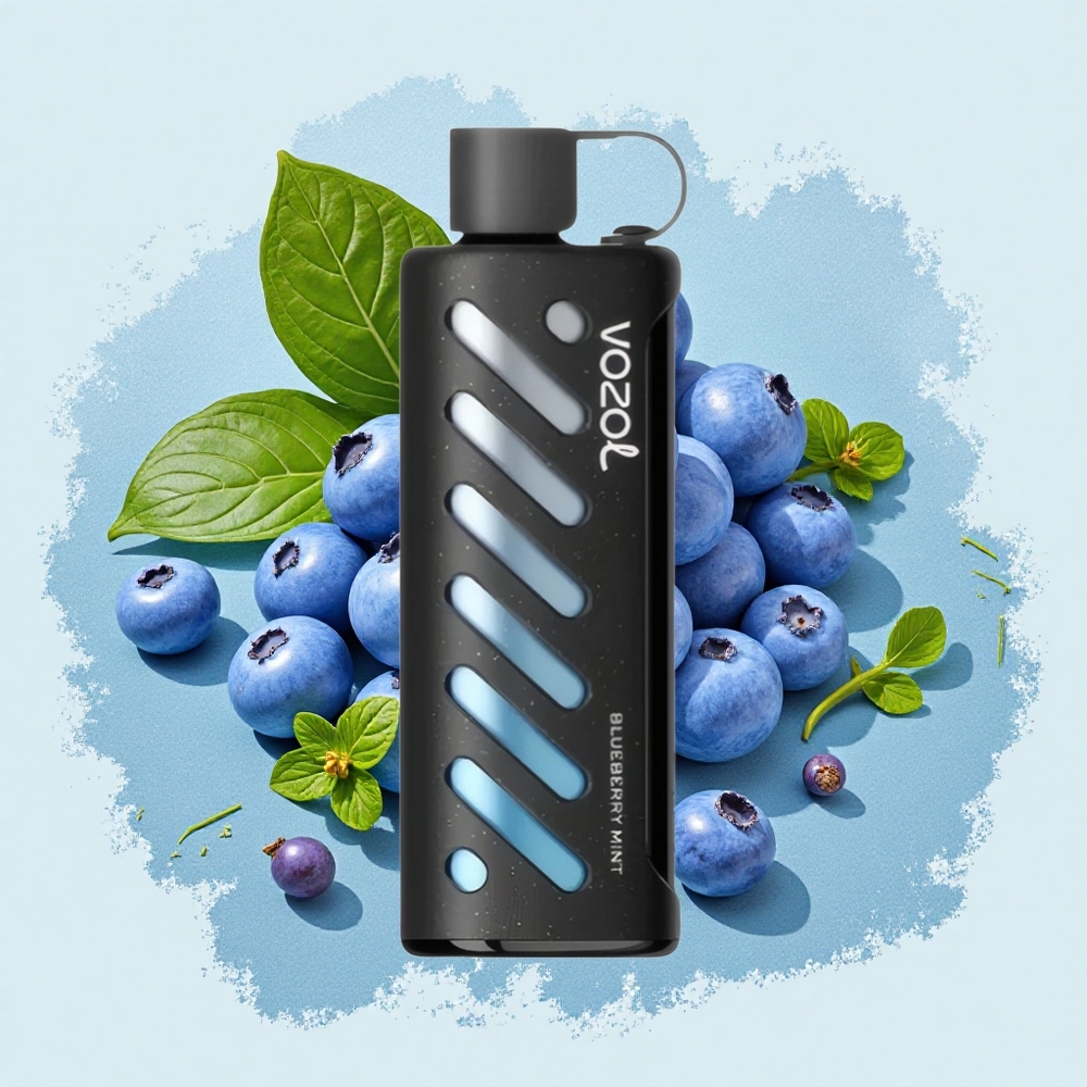 VOZOL Gear Shisha 25000 Puffs ブルーベリーミント風味 Dual Mesh Dual Modes Japan vape