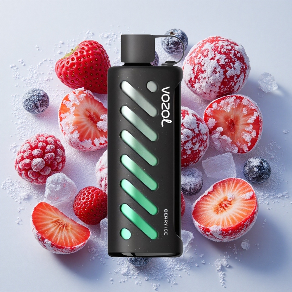 VOZOL Gear Shisha 25000 Puffs ベリーアイス風味 Dual Meshデュアルモード Japan vape