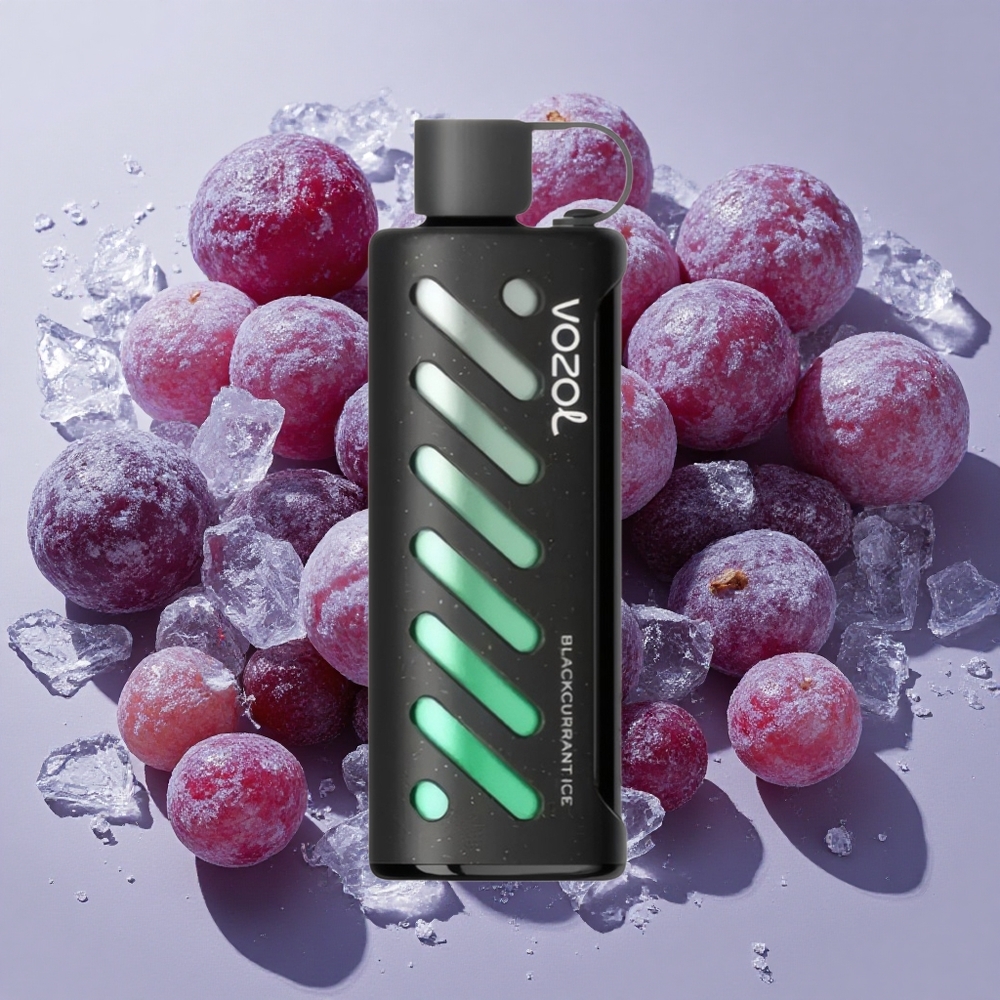 VOZOL Gear Shisha 25000 Puffs ブラックカラントアイス デュアルメッシュデュアルモード Japan vape