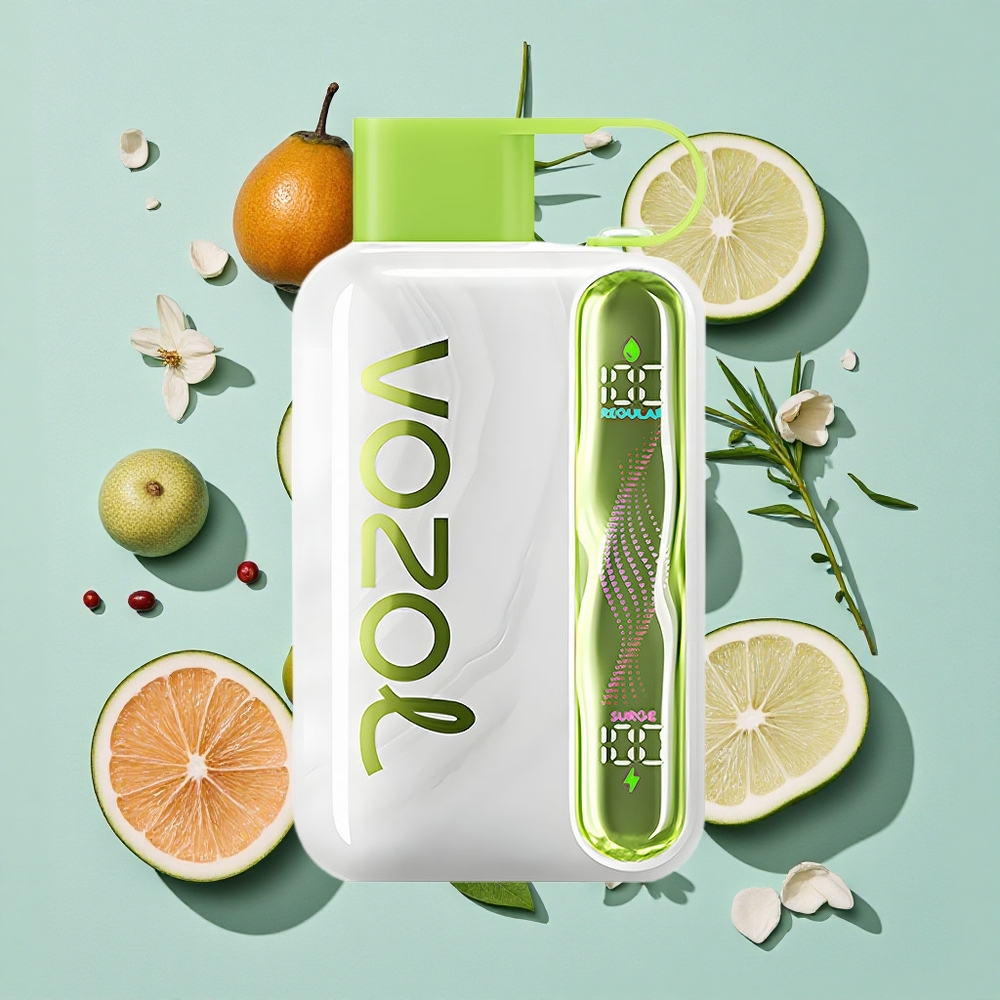 VOZOL STAR 40000パフス クールミント 1000mAh タイプ-C充電 Japan vape