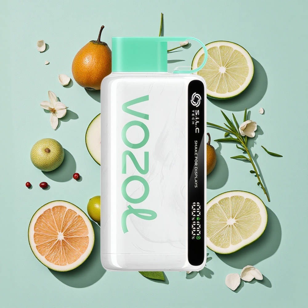 VOZOL STAR 9000/12000 クールミント 30%高速充電 Japan vape